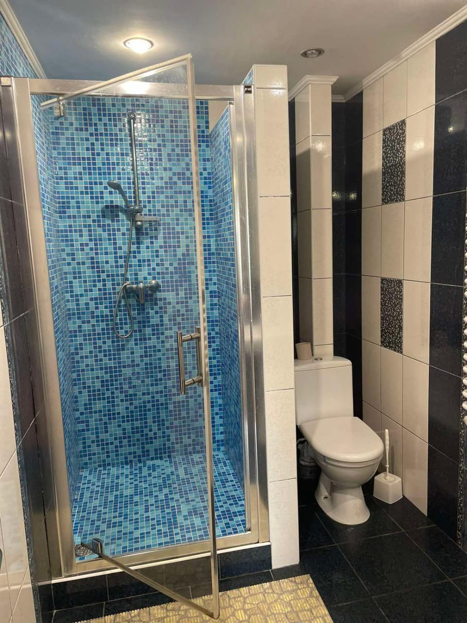 Shower, Toilet
