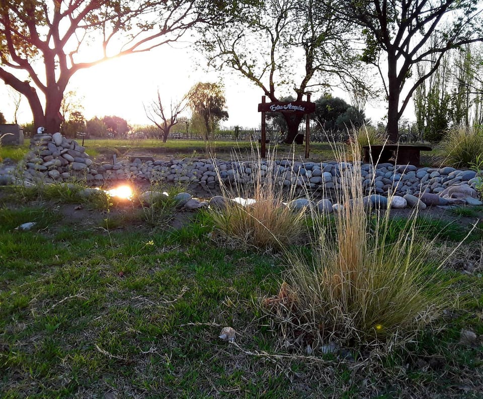 Entre Acequias House in Mendoza Province Province
