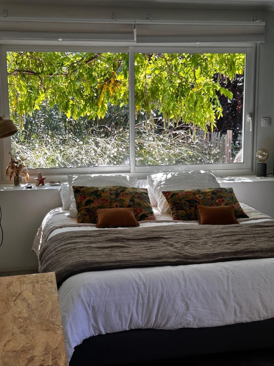 Bed, Photo of the whole room