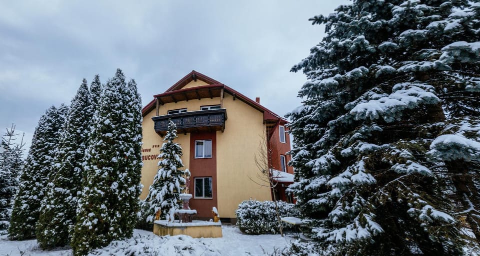 Property building, Winter