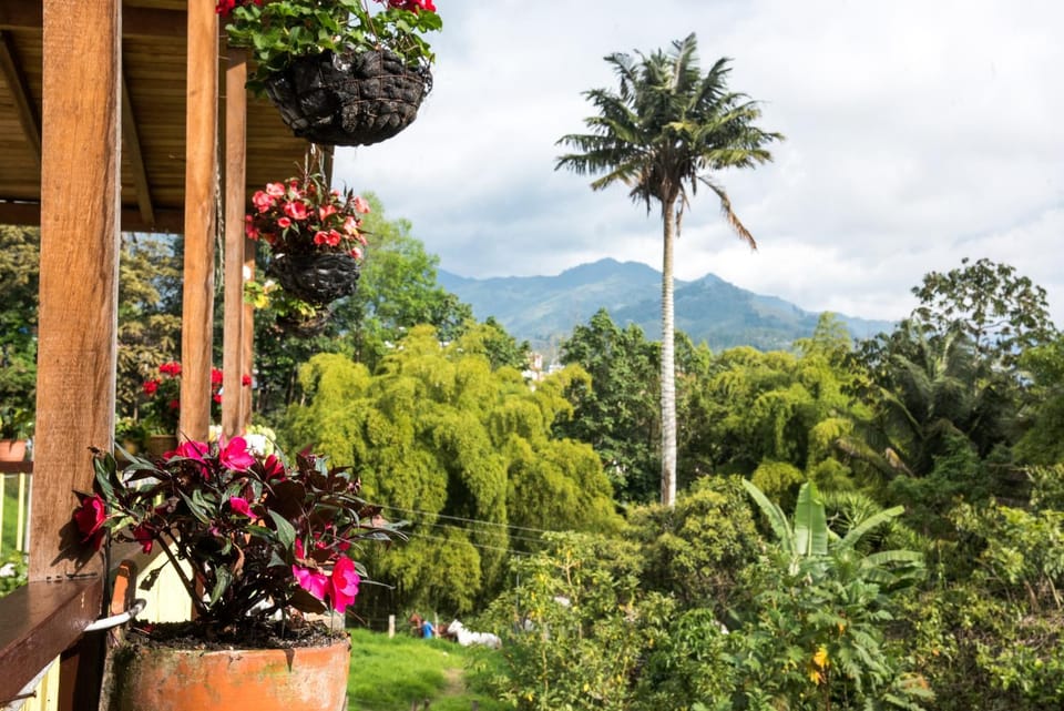Garden view, Mountain view