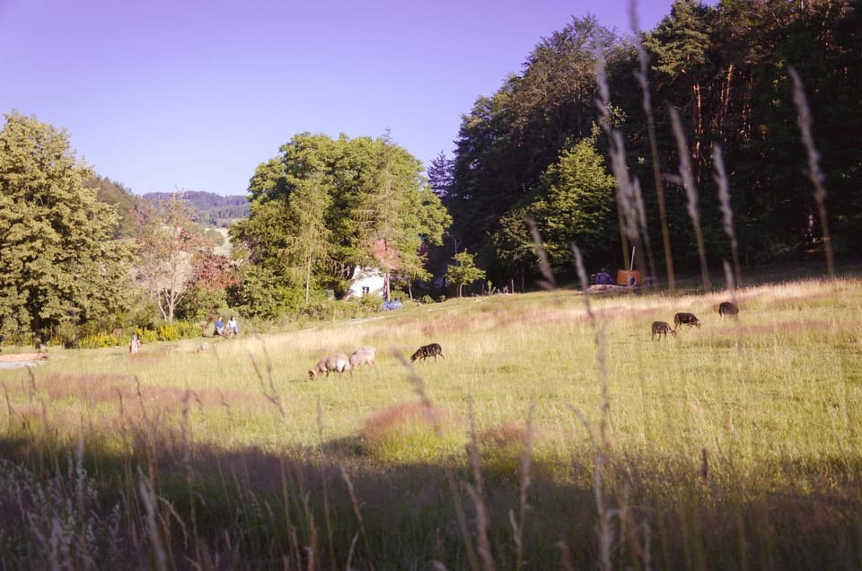 Chaloupka U sv. Dyndy Apartment in South Bohemian Region