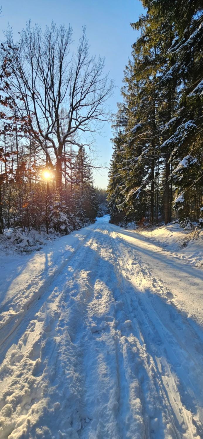 Natural landscape, Winter