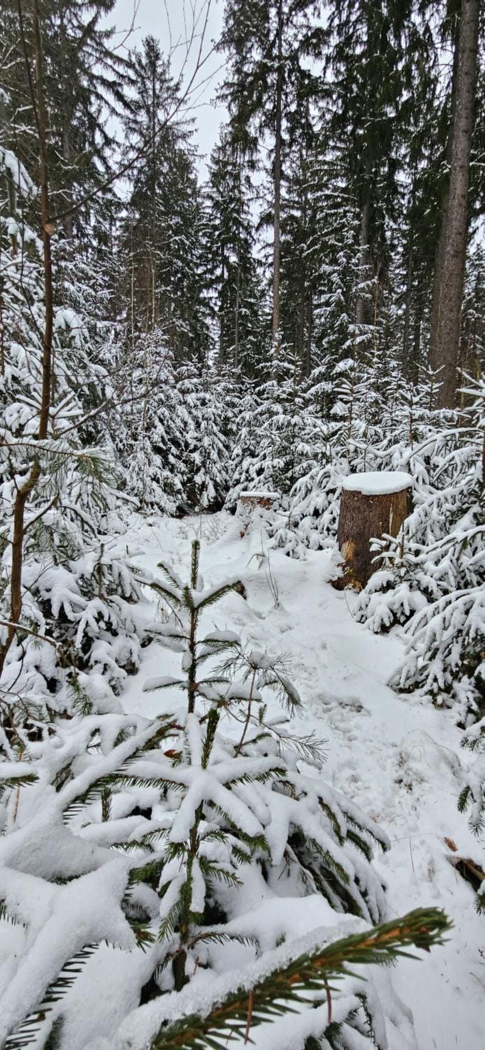 Natural landscape, Winter