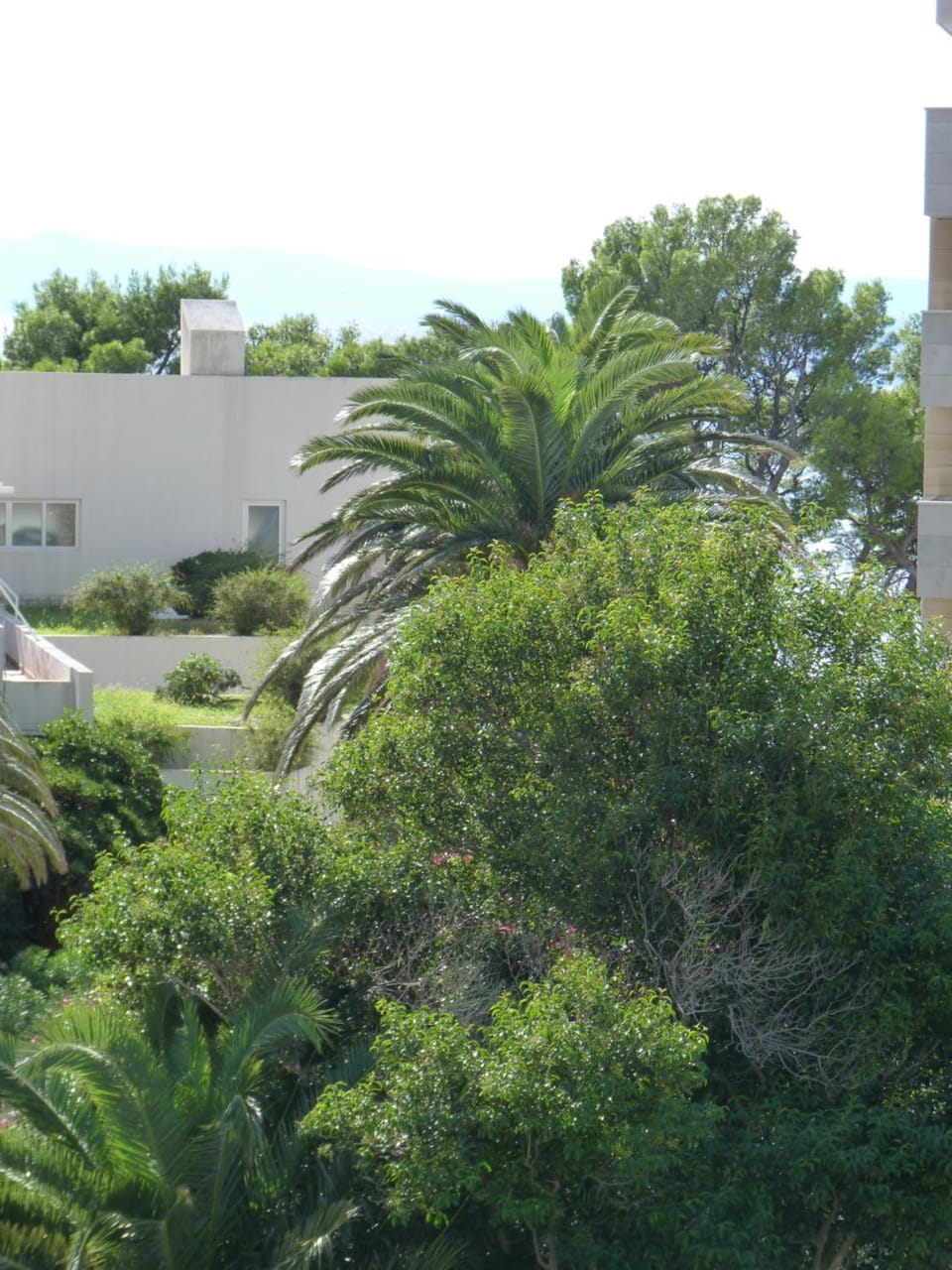Garden view, Sea view