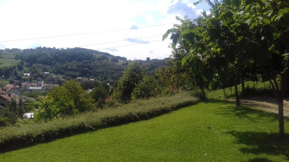 Natural landscape