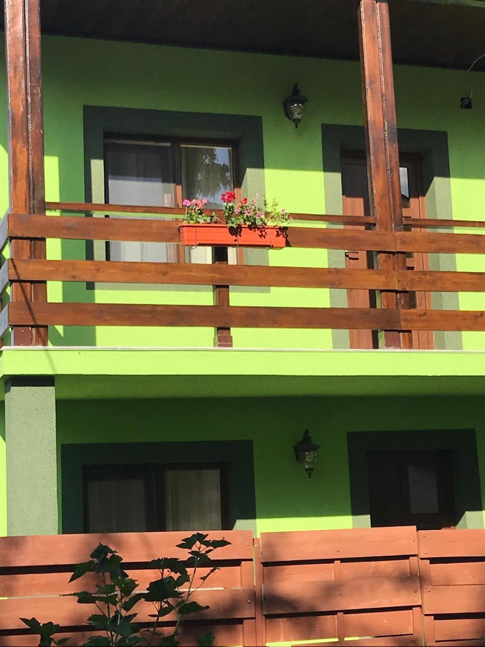 Green House Inn House in Romania