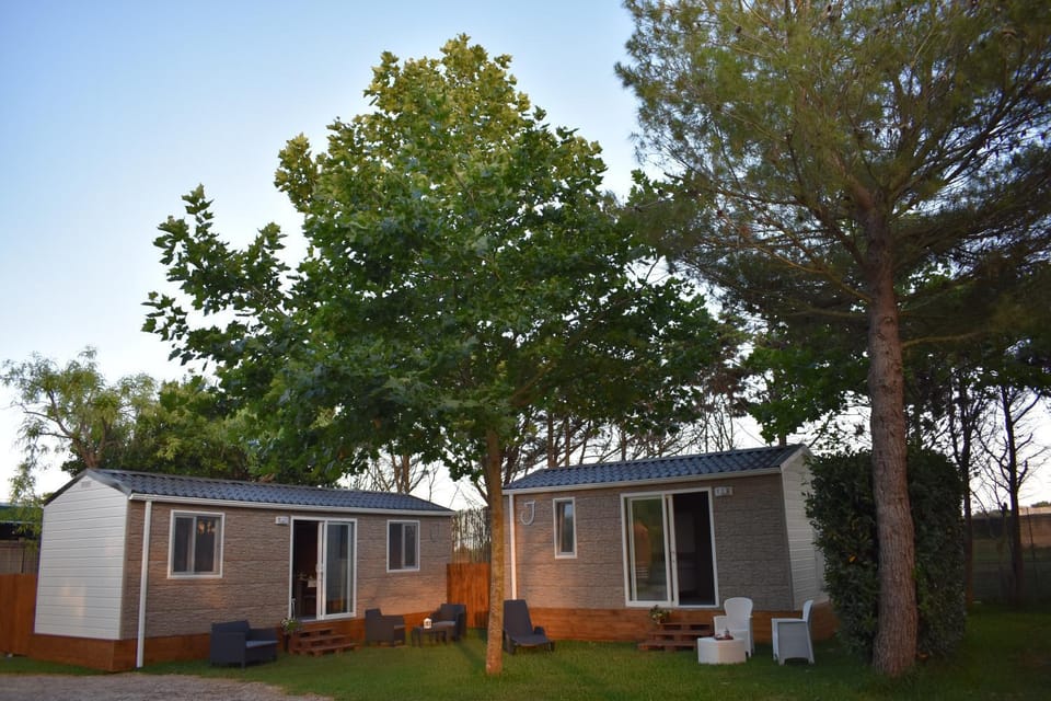 Property building, Day, Garden