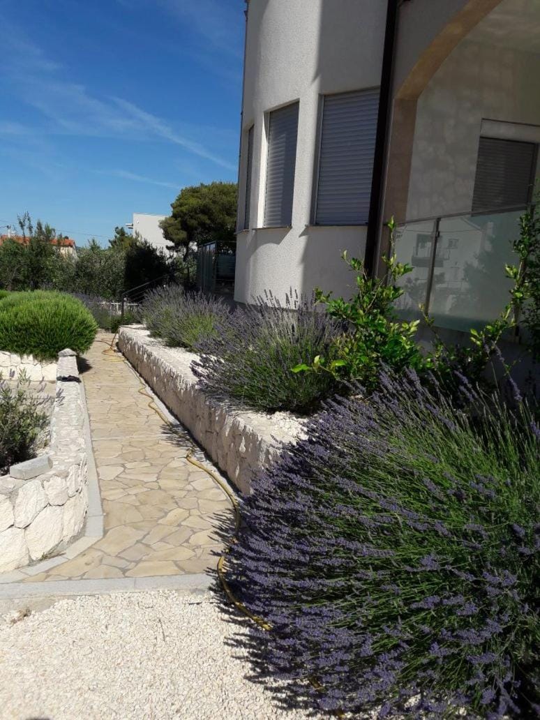 Property building, Garden view