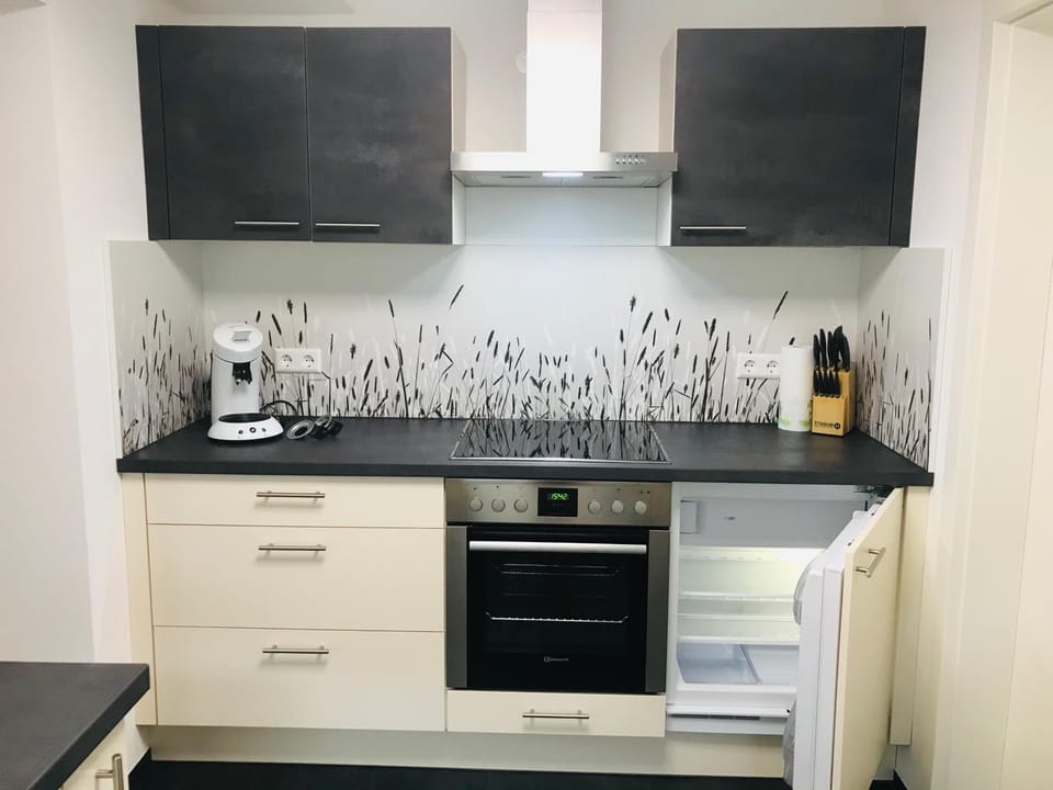 Kitchen or kitchenette, minibar, oven, stove