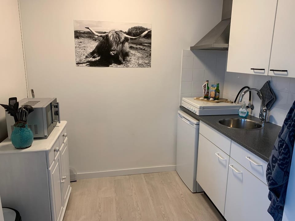 Coffee/tea facilities, Kitchen or kitchenette, minibar, toaster