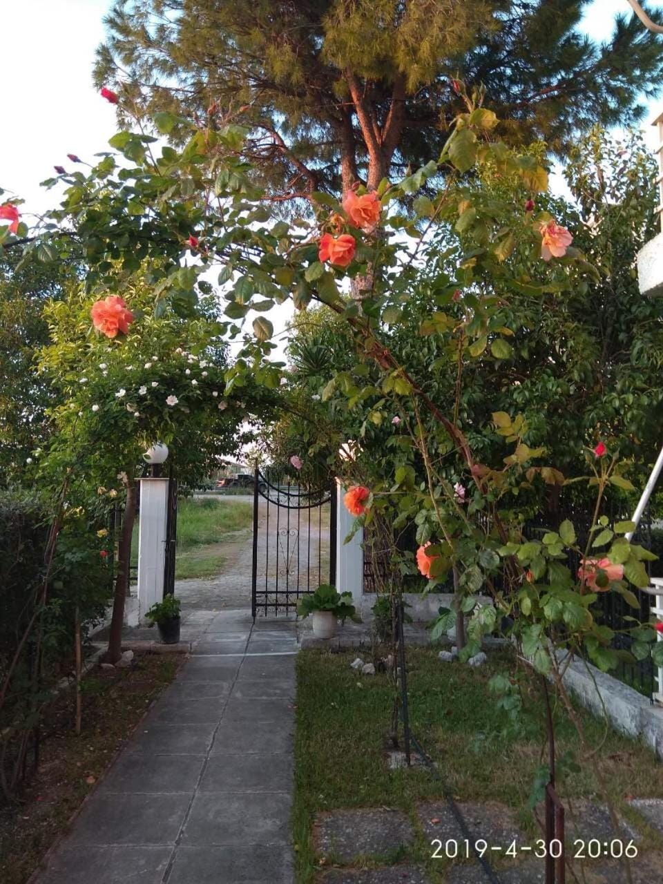 Facade/entrance, Garden