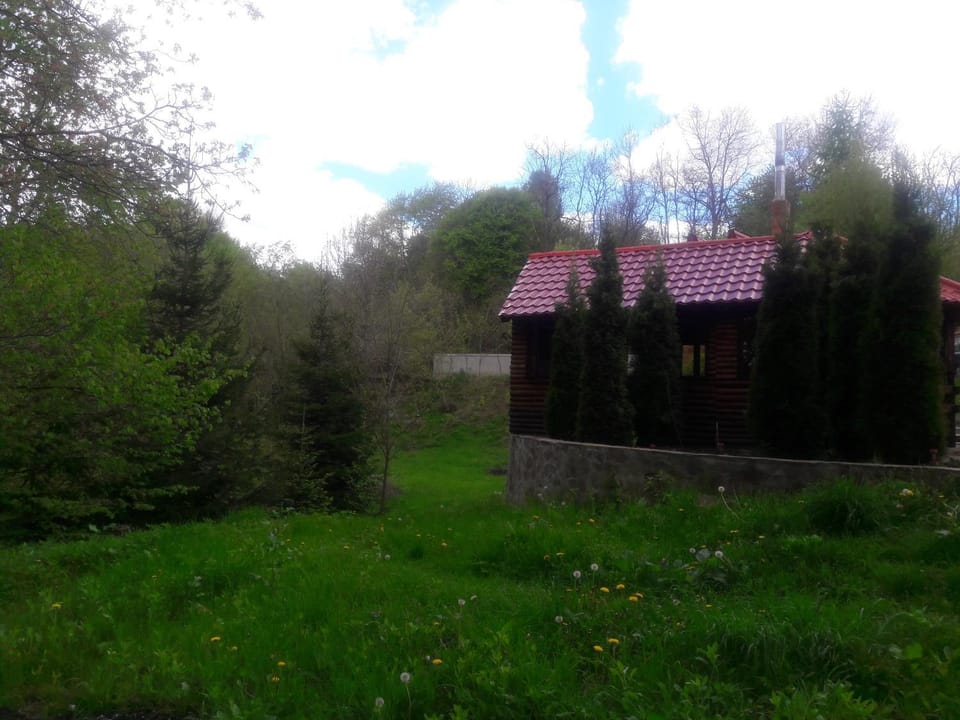 Casa DAOS Bed and Breakfast in Romania