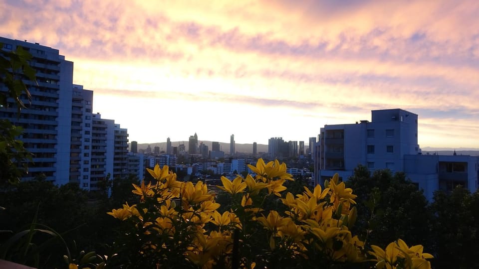 City view