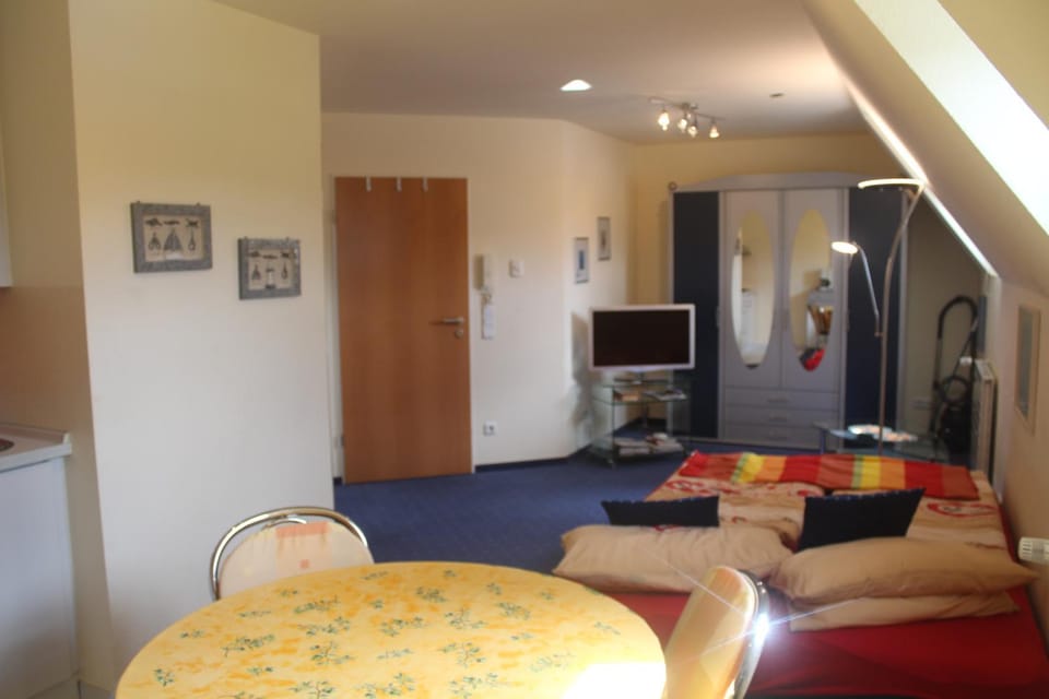 Fährhaus Ferienwohnung Apartment in Trier-Saarburg