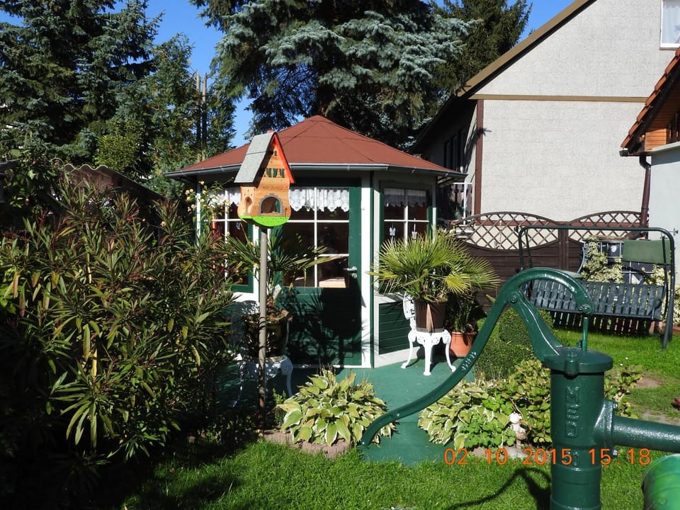Patio, Summer, Garden