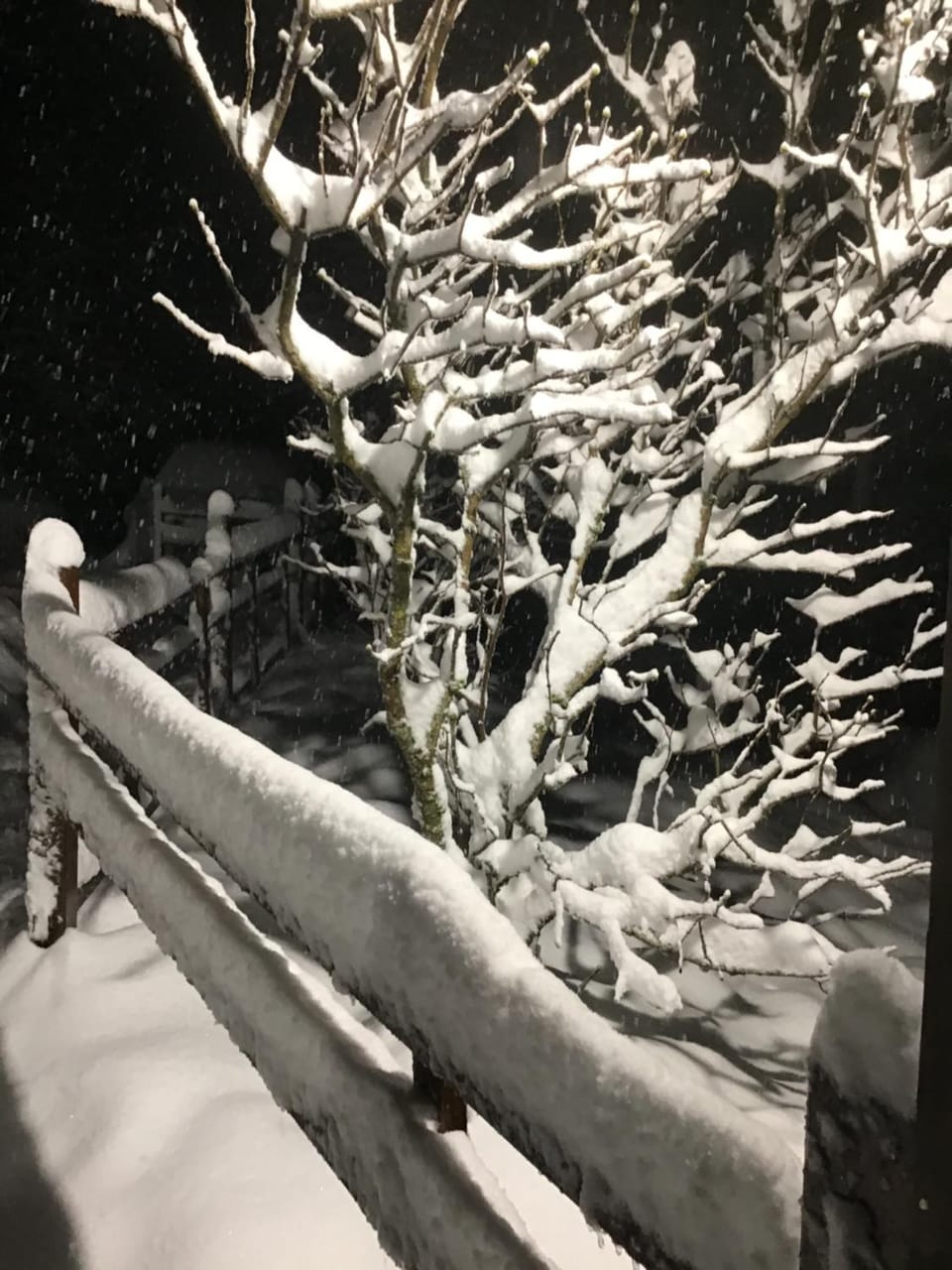 HÔTEL RESTAURANT LA FOURMI Hotel in Switzerland