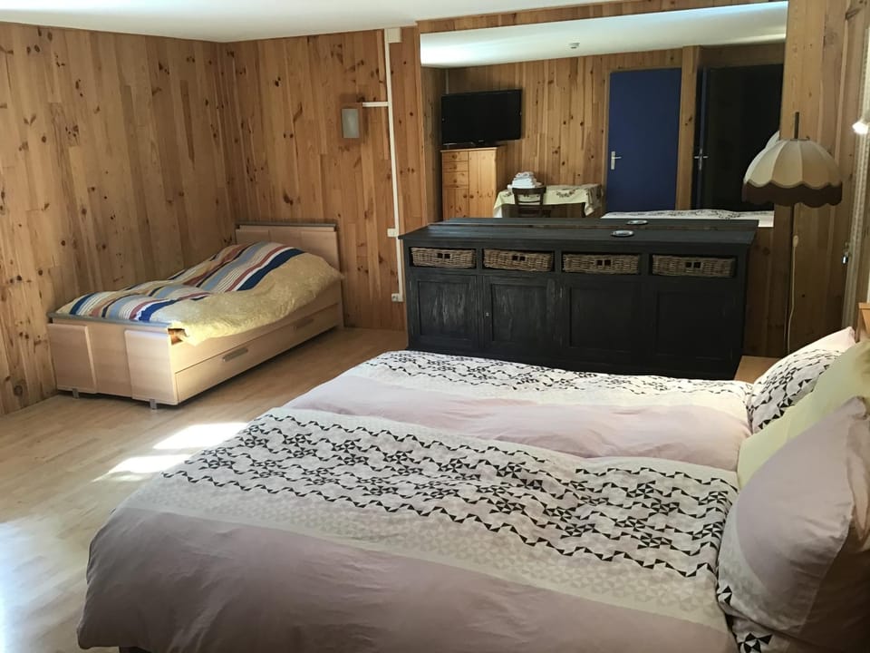 HÔTEL RESTAURANT LA FOURMI Hotel in Switzerland