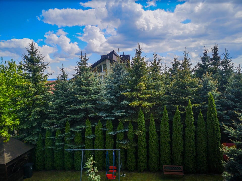 Garden, Balcony/Terrace, Decorative detail, Garden view