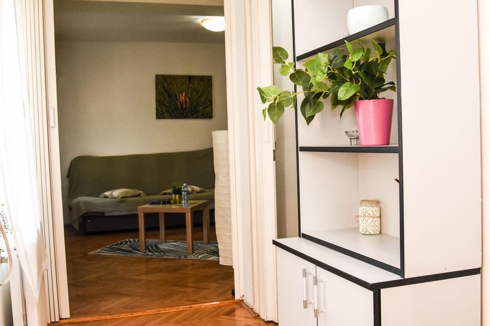 Apartment Kiwi Apartment in Novi Sad