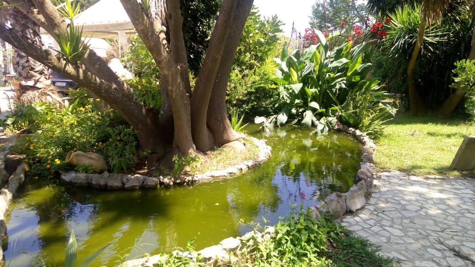 Natural landscape, Garden, Garden view