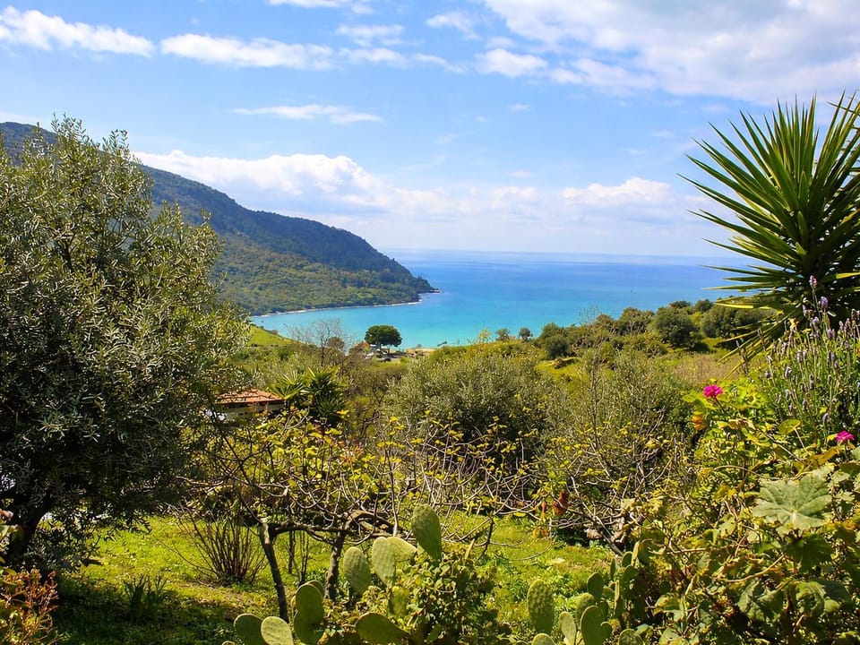 Natural landscape, Beach