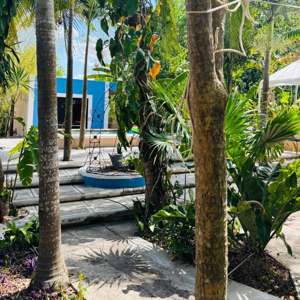 Garden view