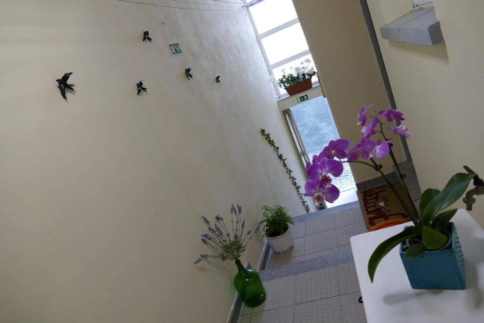 TUACASA Apartment in Vila Real District