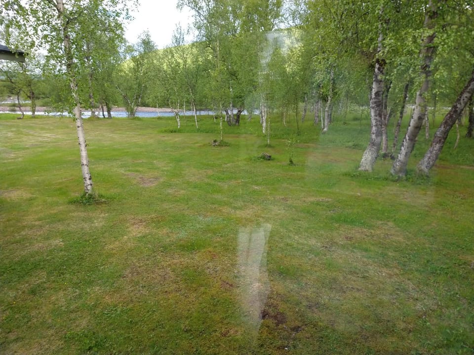 Natural landscape, Garden view