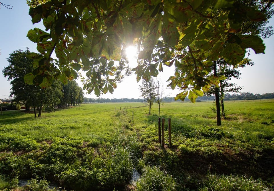 Natural landscape