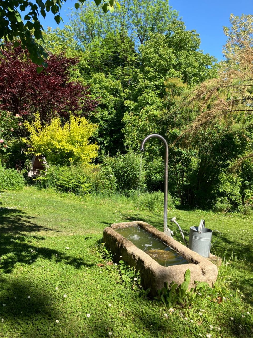 Garden view