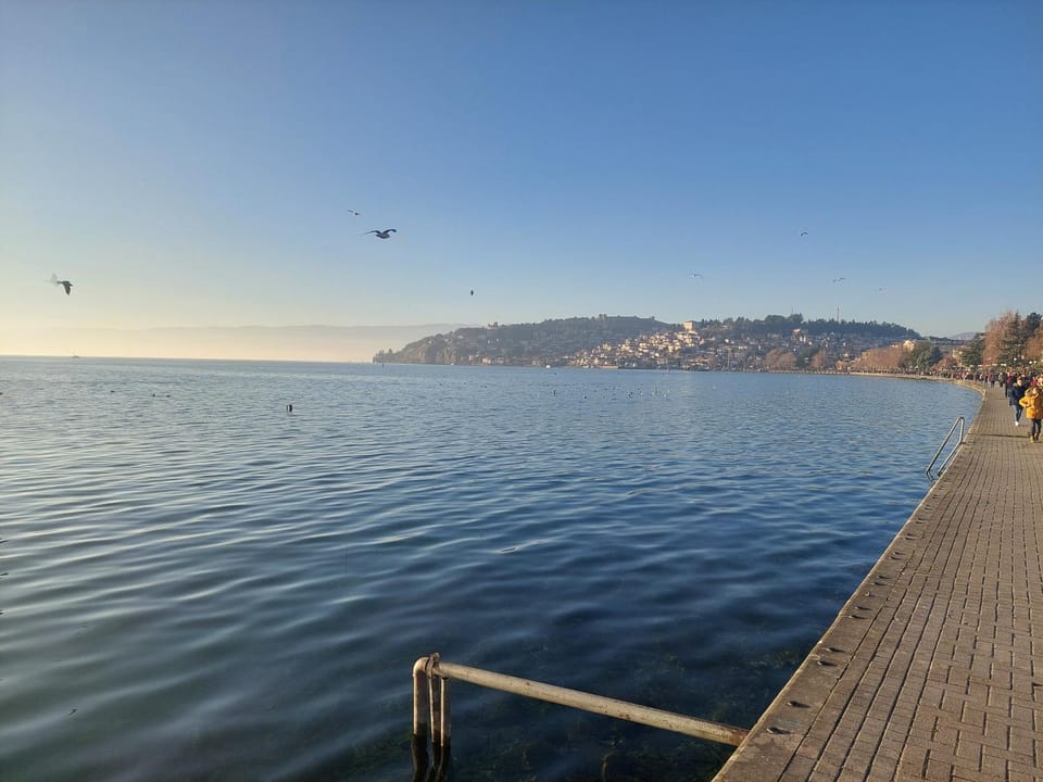 Lake view