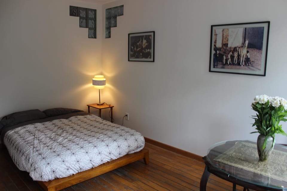 Condesa Zen Vacation rental in Mexico City