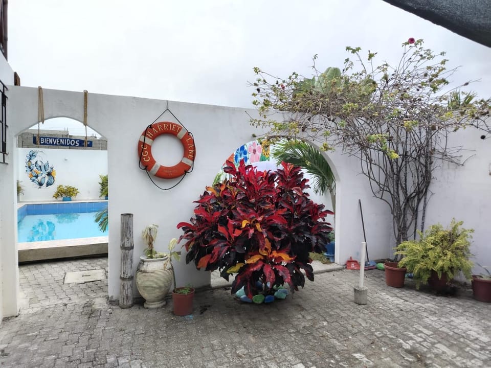 Hostal Villa Brisa Bed and Breakfast in Santa Elena Province