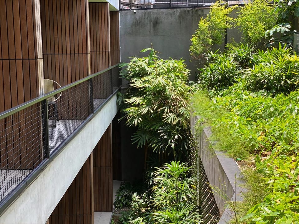 Garden view