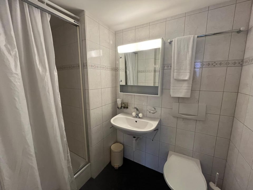 Shower, Toilet, Bathroom, towels