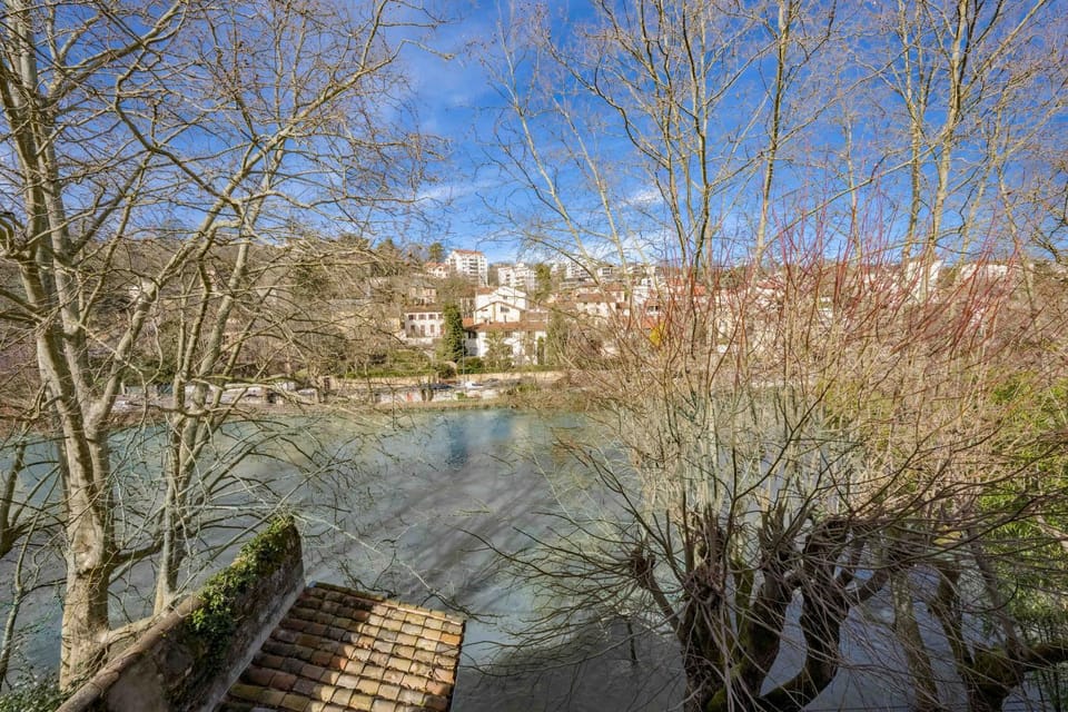 Natural landscape, River view