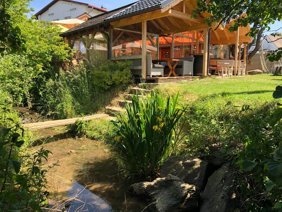 Spring, Day, Natural landscape, Garden, Garden view