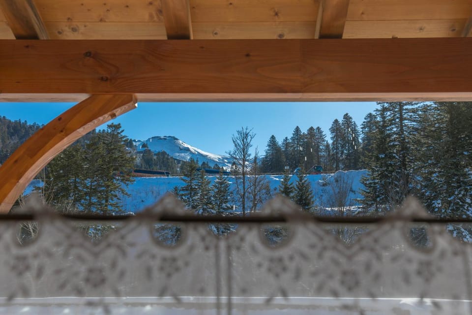 Studio Lou Kiwi - Résidence Bec de l Aigle Apartment in Auvergne-Rhône-Alpes