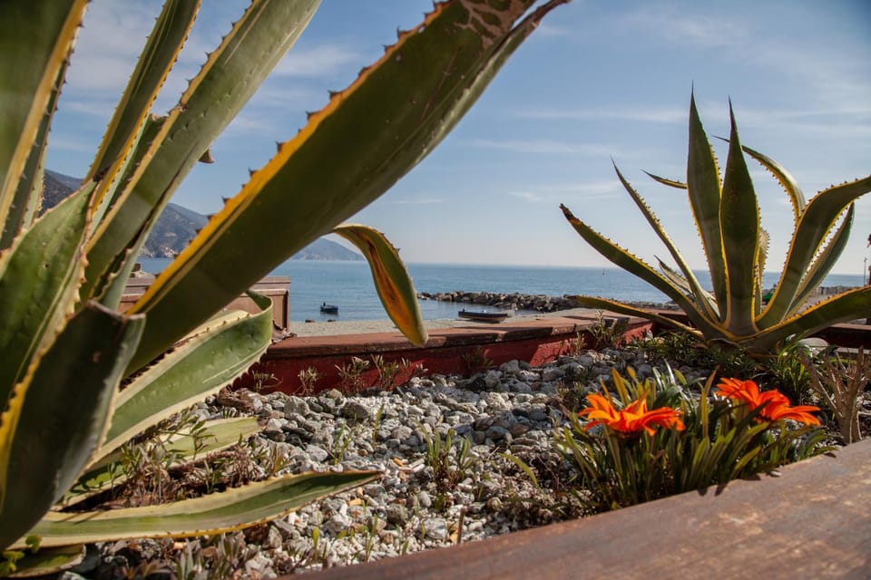 Come Eravamo Apartment in Monterosso al Mare