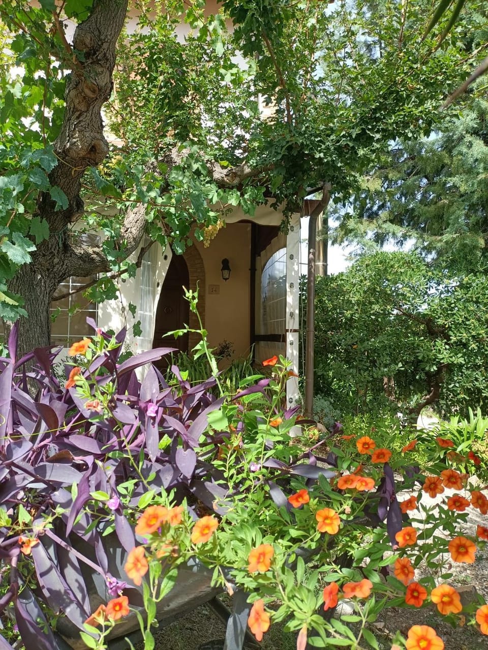 Il Melograno Farm Stay in Abruzzo