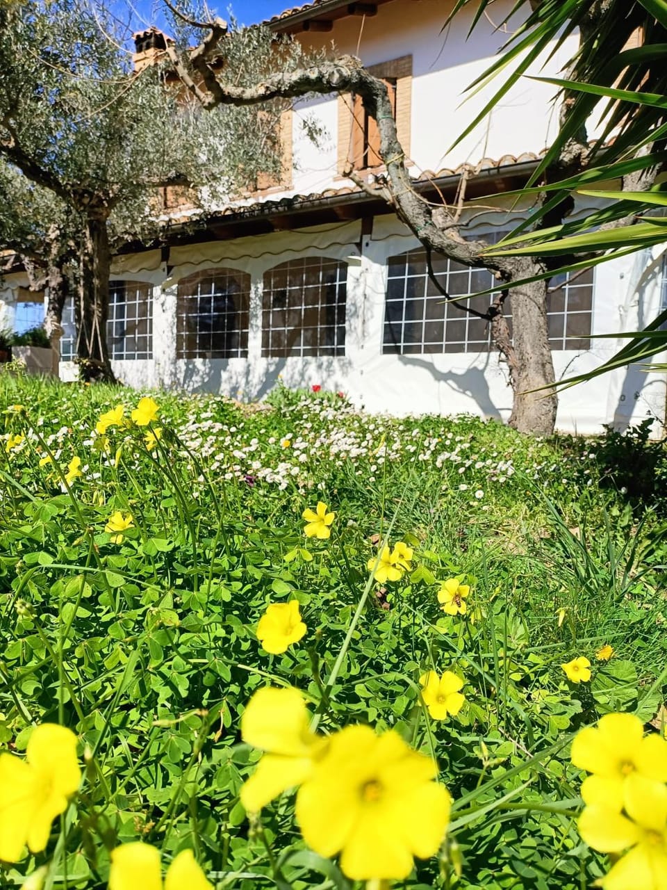 Il Melograno Farm Stay in Abruzzo