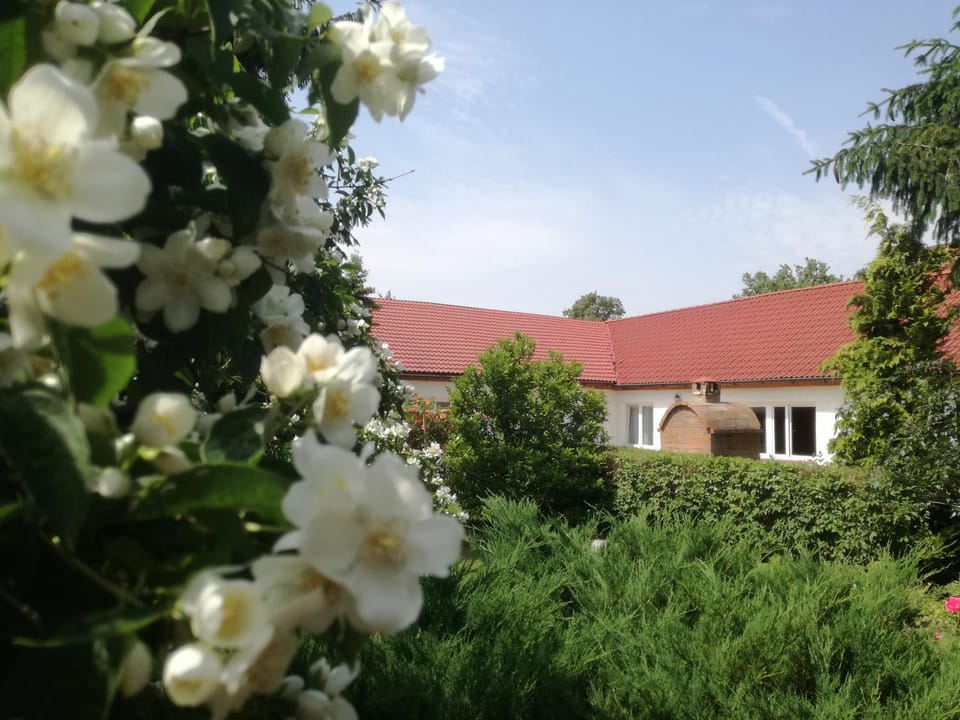 Property building, Garden view