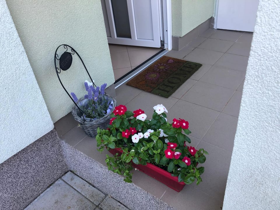 Apartman Igor Apartment in Primorje-Gorski Kotar County