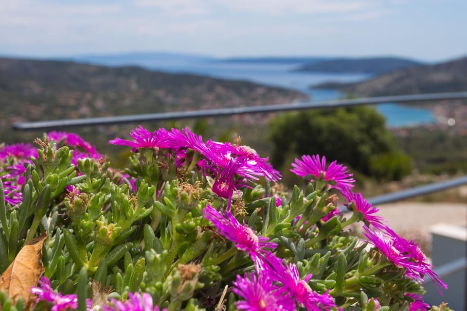 Natural landscape, Sea view