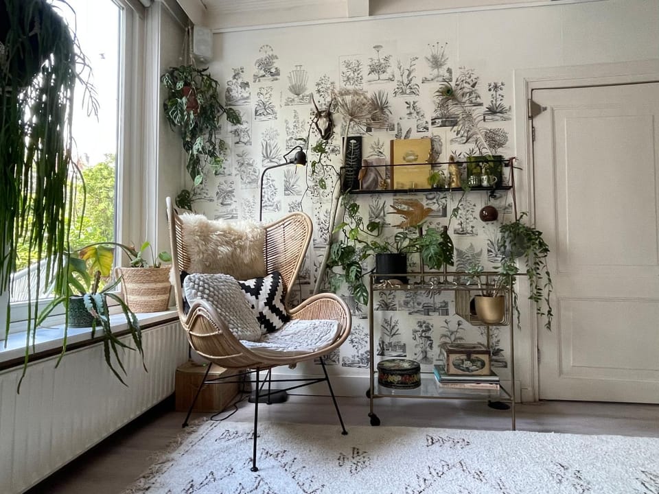Near Zandvoort & Amsterdam Beach house House in Haarlem