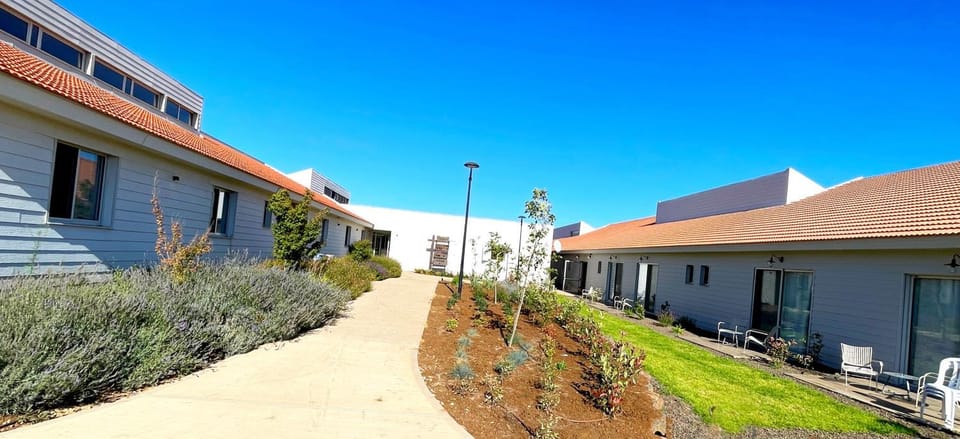 Property building, Day, Garden