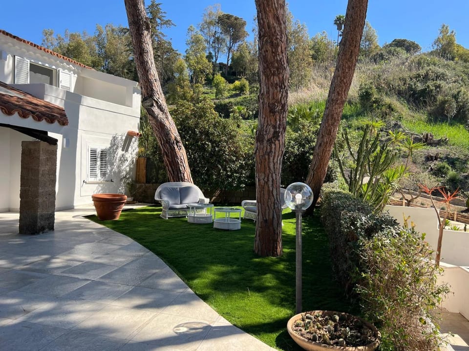 Property building, Garden