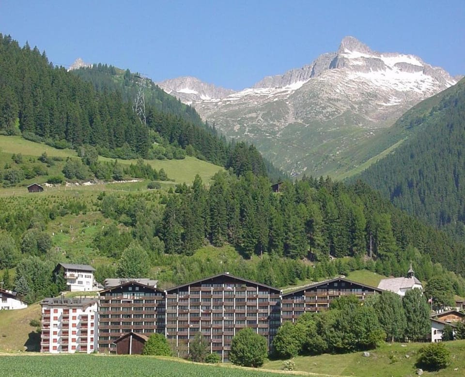 Mountain view