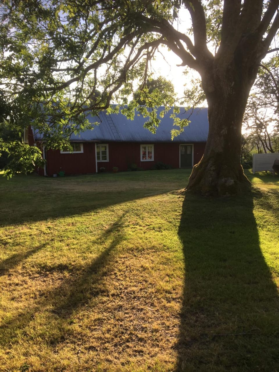 Tubbared. Nature lodge in Denmark
